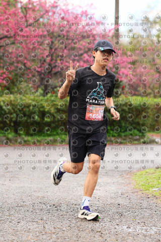 2026左岸竹東櫻花馬拉松Zhudong Sakura Marathon