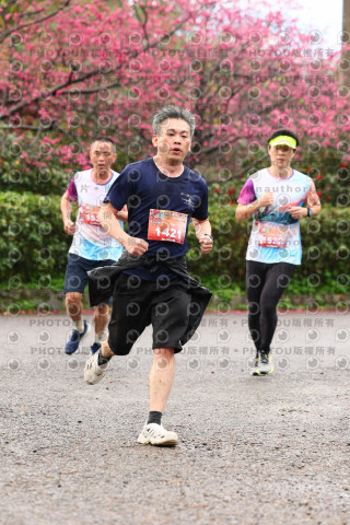 2026左岸竹東櫻花馬拉松Zhudong Sakura Marathon