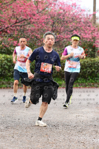 2026左岸竹東櫻花馬拉松Zhudong Sakura Marathon