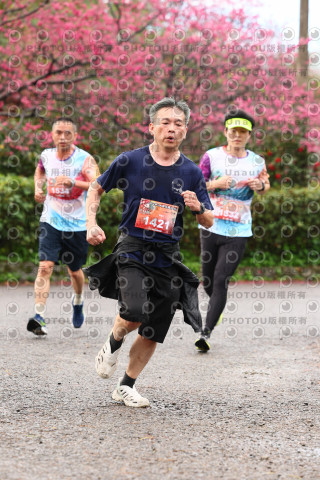 2026左岸竹東櫻花馬拉松Zhudong Sakura Marathon