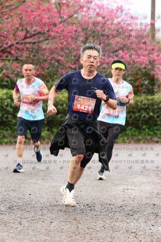 2026左岸竹東櫻花馬拉松Zhudong Sakura Marathon