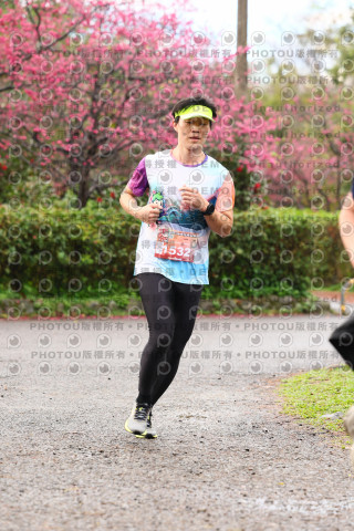 2026左岸竹東櫻花馬拉松Zhudong Sakura Marathon