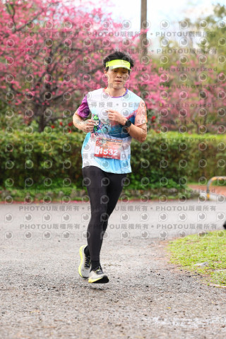 2026左岸竹東櫻花馬拉松Zhudong Sakura Marathon