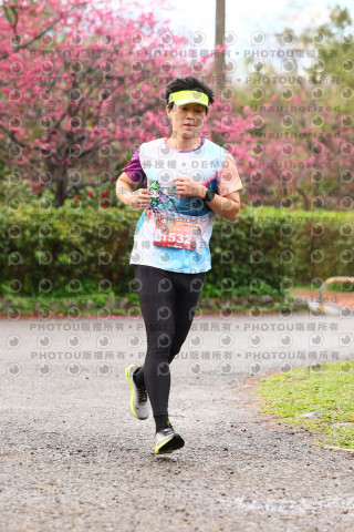2026左岸竹東櫻花馬拉松Zhudong Sakura Marathon
