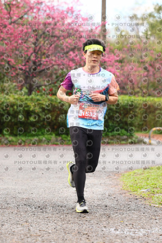 2026左岸竹東櫻花馬拉松Zhudong Sakura Marathon
