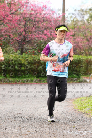 2026左岸竹東櫻花馬拉松Zhudong Sakura Marathon