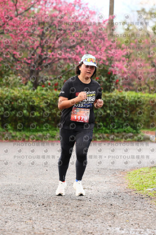 2026左岸竹東櫻花馬拉松Zhudong Sakura Marathon