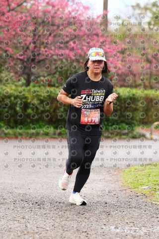 2026左岸竹東櫻花馬拉松Zhudong Sakura Marathon