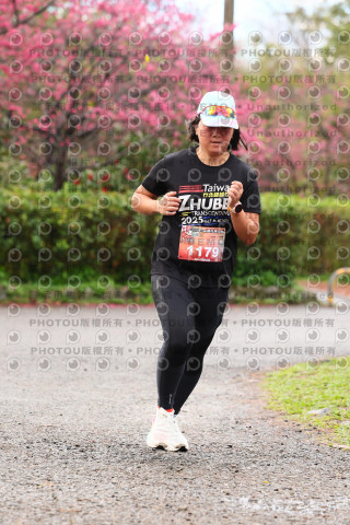2026左岸竹東櫻花馬拉松Zhudong Sakura Marathon