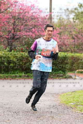2026左岸竹東櫻花馬拉松Zhudong Sakura Marathon