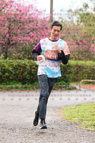 2026左岸竹東櫻花馬拉松Zhudong Sakura Marathon