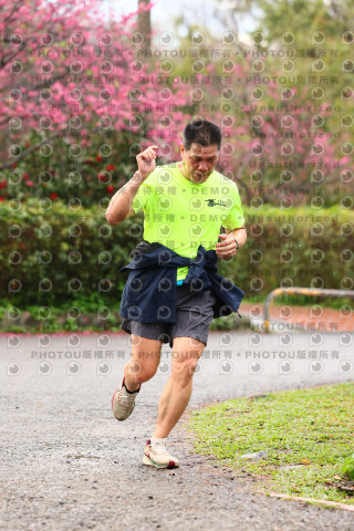 2026左岸竹東櫻花馬拉松Zhudong Sakura Marathon
