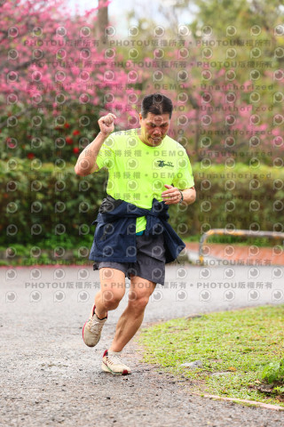 2026左岸竹東櫻花馬拉松Zhudong Sakura Marathon