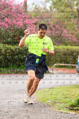 2026左岸竹東櫻花馬拉松Zhudong Sakura Marathon