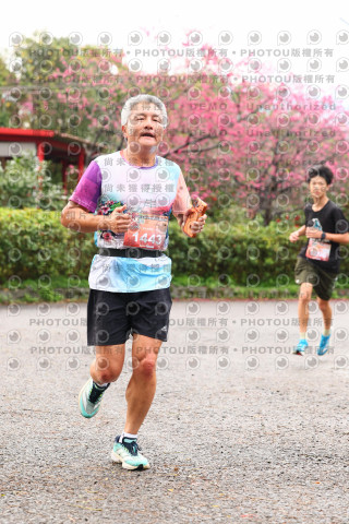 2026左岸竹東櫻花馬拉松Zhudong Sakura Marathon