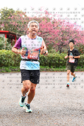 2026左岸竹東櫻花馬拉松Zhudong Sakura Marathon