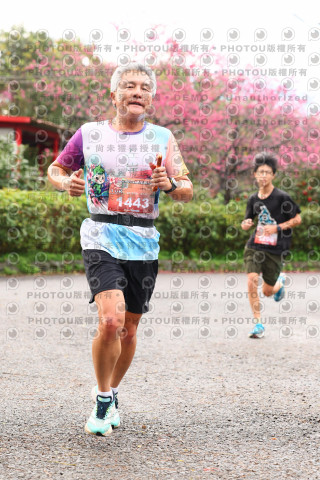 2026左岸竹東櫻花馬拉松Zhudong Sakura Marathon