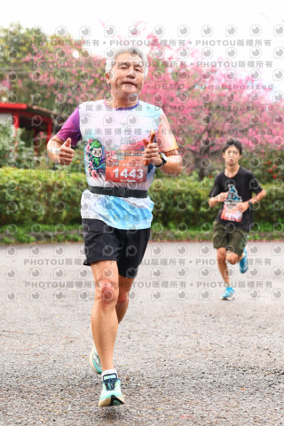 2026左岸竹東櫻花馬拉松Zhudong Sakura Marathon