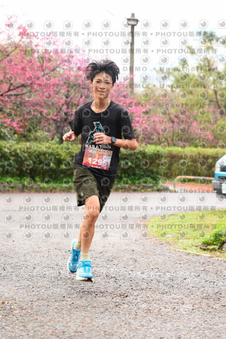 2026左岸竹東櫻花馬拉松Zhudong Sakura Marathon