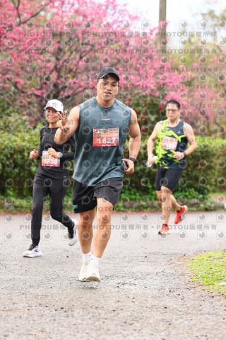 2026左岸竹東櫻花馬拉松Zhudong Sakura Marathon