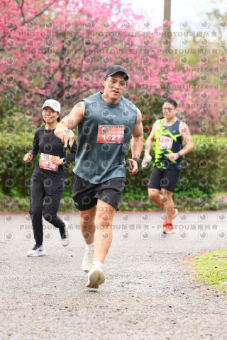 2026左岸竹東櫻花馬拉松Zhudong Sakura Marathon
