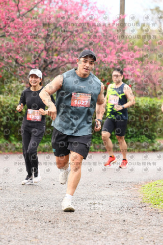 2026左岸竹東櫻花馬拉松Zhudong Sakura Marathon