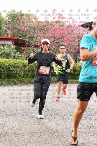 2026左岸竹東櫻花馬拉松Zhudong Sakura Marathon