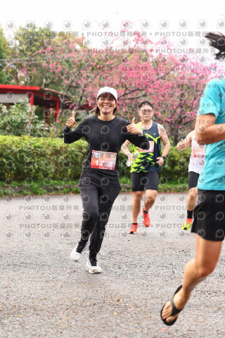 2026左岸竹東櫻花馬拉松Zhudong Sakura Marathon