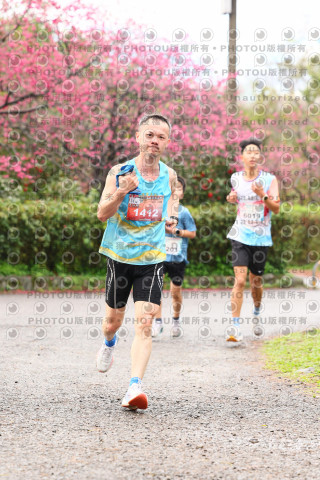 2026左岸竹東櫻花馬拉松Zhudong Sakura Marathon