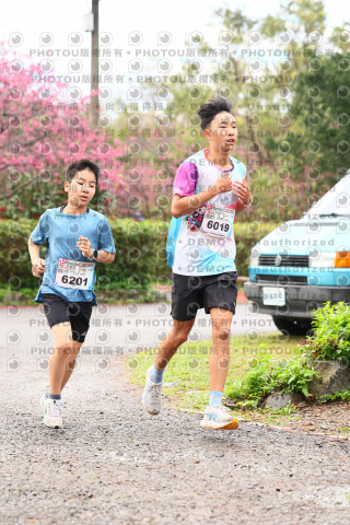 2026左岸竹東櫻花馬拉松Zhudong Sakura Marathon