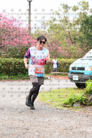 2026左岸竹東櫻花馬拉松Zhudong Sakura Marathon