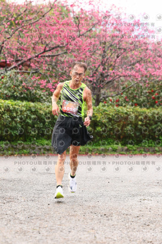 2026左岸竹東櫻花馬拉松Zhudong Sakura Marathon
