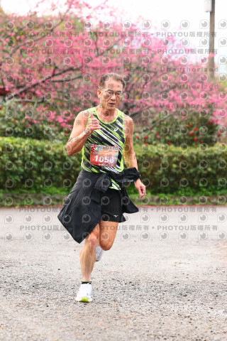 2026左岸竹東櫻花馬拉松Zhudong Sakura Marathon