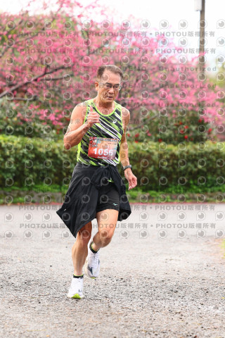 2026左岸竹東櫻花馬拉松Zhudong Sakura Marathon