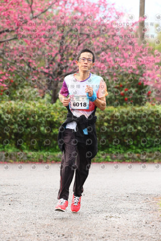 2026左岸竹東櫻花馬拉松Zhudong Sakura Marathon