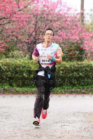 2026左岸竹東櫻花馬拉松Zhudong Sakura Marathon