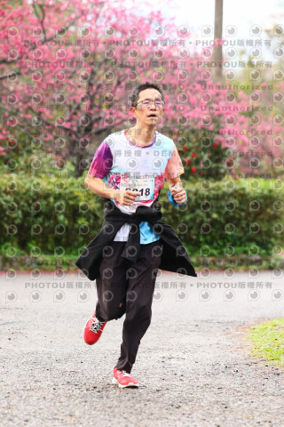 2026左岸竹東櫻花馬拉松Zhudong Sakura Marathon