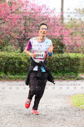 2026左岸竹東櫻花馬拉松Zhudong Sakura Marathon