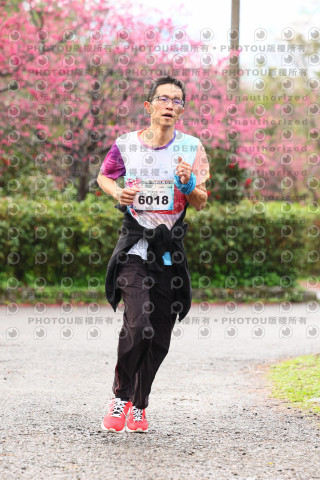 2026左岸竹東櫻花馬拉松Zhudong Sakura Marathon