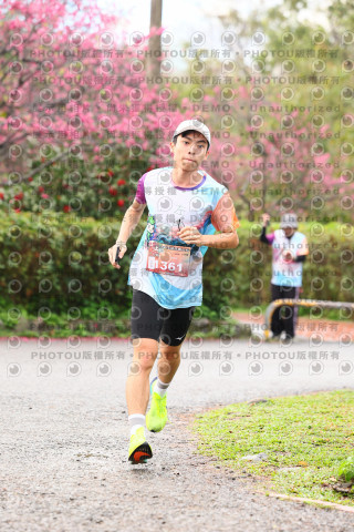 2026左岸竹東櫻花馬拉松Zhudong Sakura Marathon