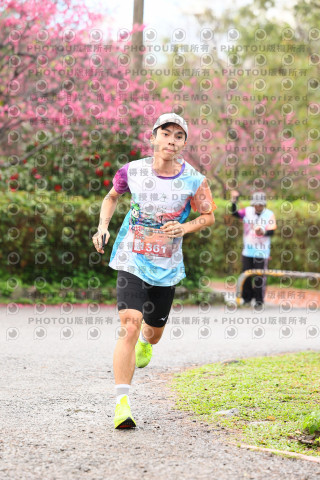 2026左岸竹東櫻花馬拉松Zhudong Sakura Marathon