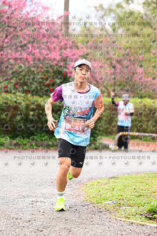 2026左岸竹東櫻花馬拉松Zhudong Sakura Marathon