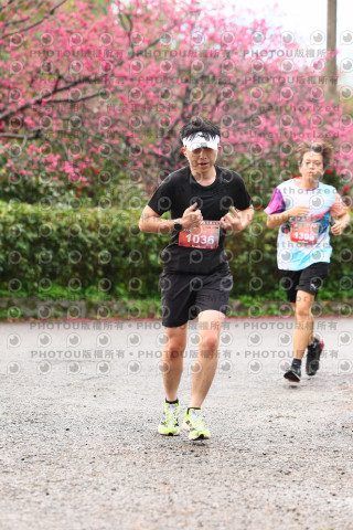 2026左岸竹東櫻花馬拉松Zhudong Sakura Marathon