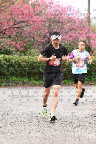 2026左岸竹東櫻花馬拉松Zhudong Sakura Marathon