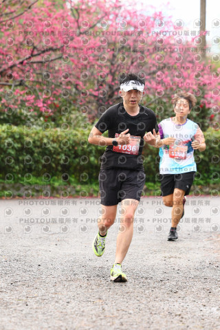 2026左岸竹東櫻花馬拉松Zhudong Sakura Marathon