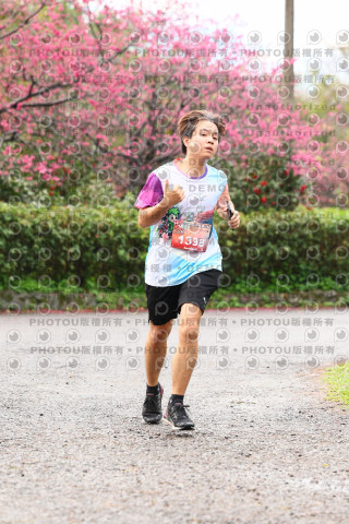 2026左岸竹東櫻花馬拉松Zhudong Sakura Marathon