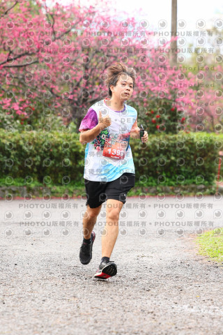 2026左岸竹東櫻花馬拉松Zhudong Sakura Marathon