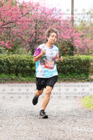 2026左岸竹東櫻花馬拉松Zhudong Sakura Marathon