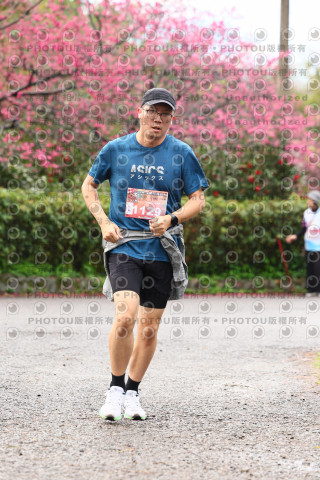 2026左岸竹東櫻花馬拉松Zhudong Sakura Marathon