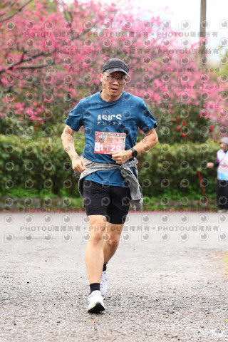 2026左岸竹東櫻花馬拉松Zhudong Sakura Marathon